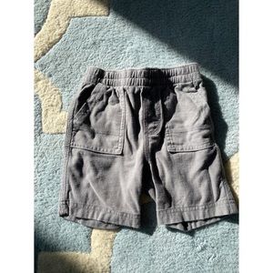 Tea Collection gym shorts